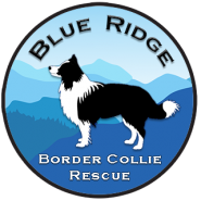 Blue Ridge Border Collie Rescue Logo